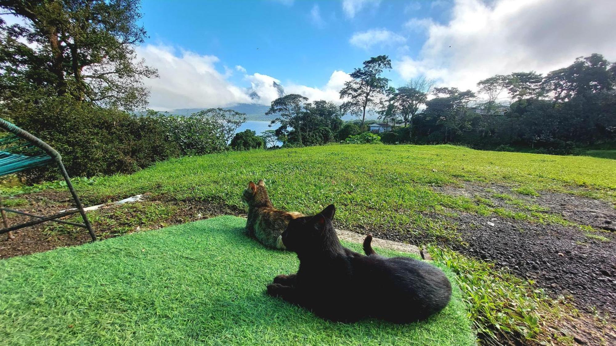 La Fortuna Rustico Villa Arenal المظهر الخارجي الصورة